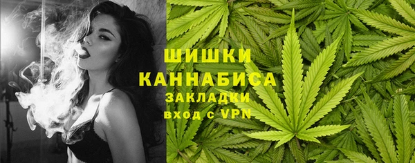 apvp Горняк